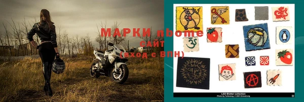 прущий лед Новозыбков