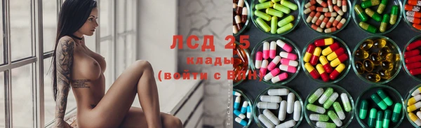 PSILOCYBIN Алзамай
