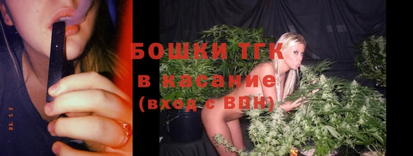 PSILOCYBIN Алзамай