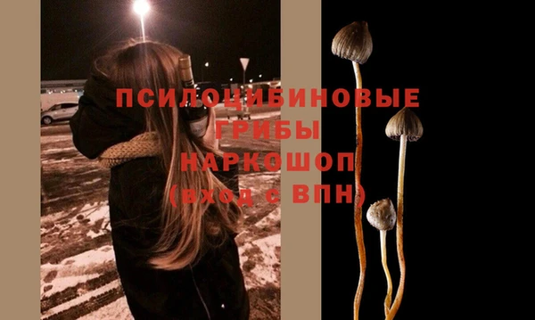 МДМА Алексеевка