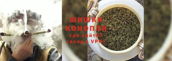 PSILOCYBIN Алзамай