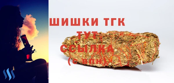 PSILOCYBIN Алзамай