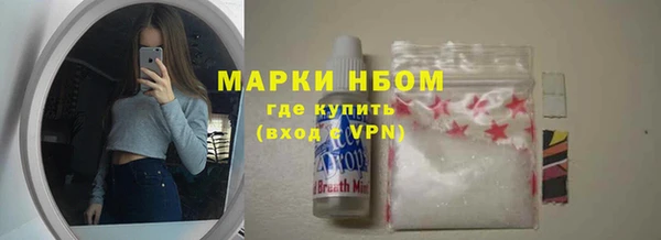PSILOCYBIN Алзамай