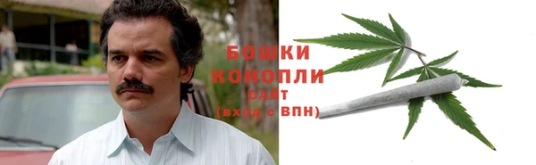 PSILOCYBIN Алзамай