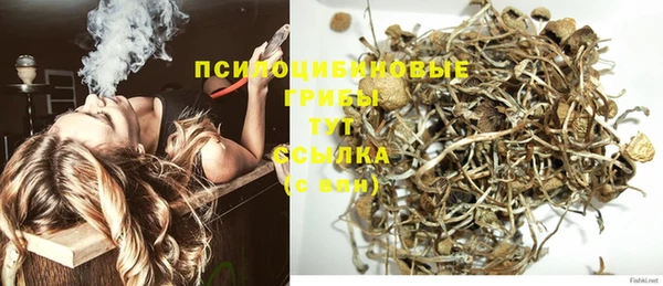 таблы Новокубанск