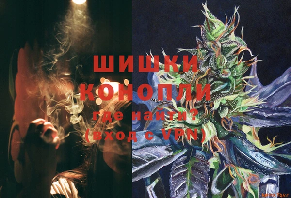 прущий лед Новозыбков