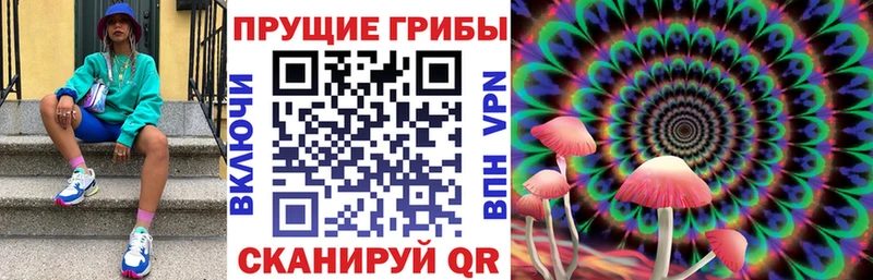ссылка на мегу зеркало  Бабушкин  Галлюциногенные грибы Cubensis  хочу  